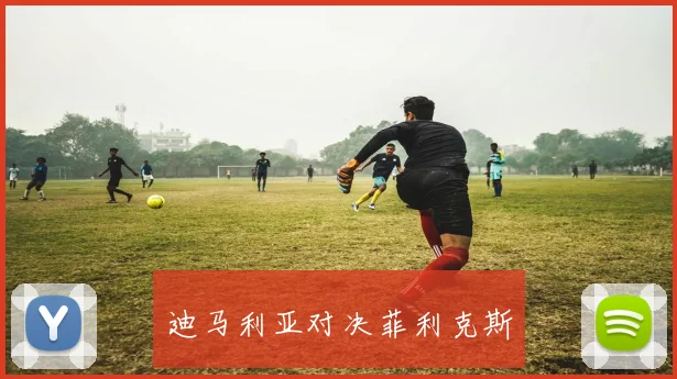 迪马利亚对决菲利克斯