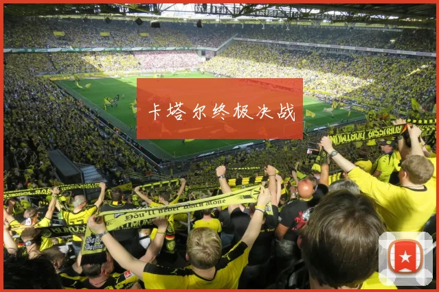 卡塔尔终极决战