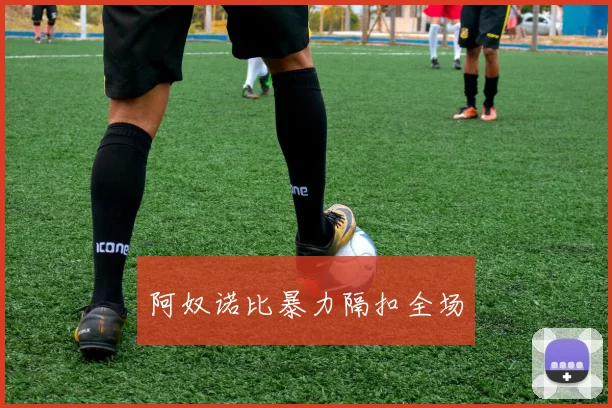 阿奴诺比暴力隔扣全场
