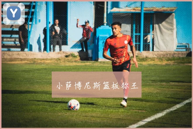 小萨博尼斯篮板称王