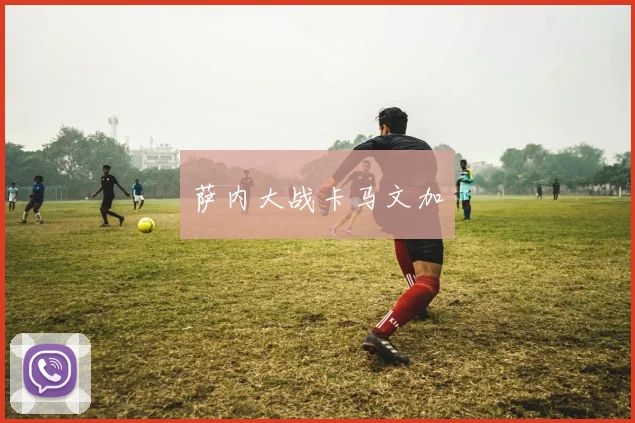 萨内大战卡马文加