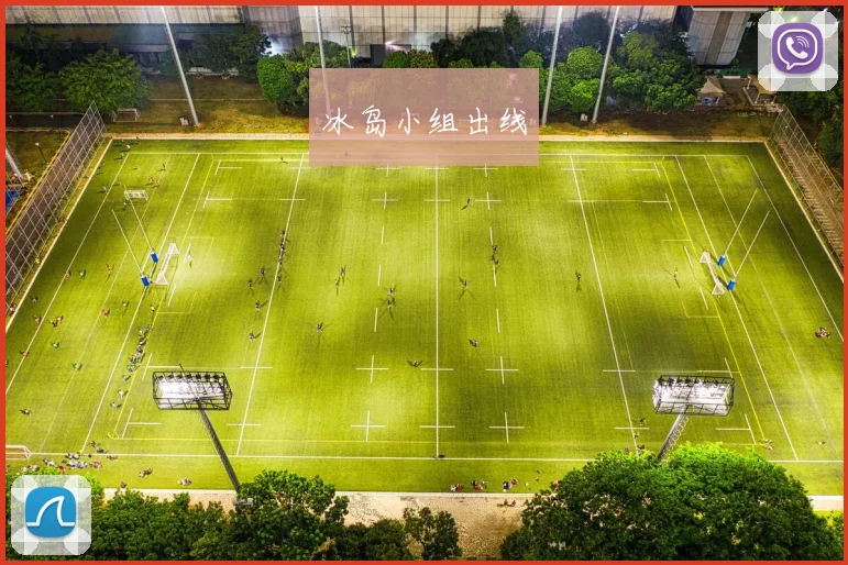 冰岛小组出线