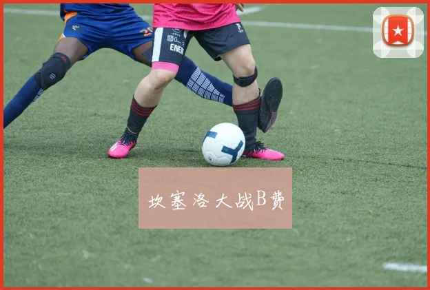 坎塞洛大战B费