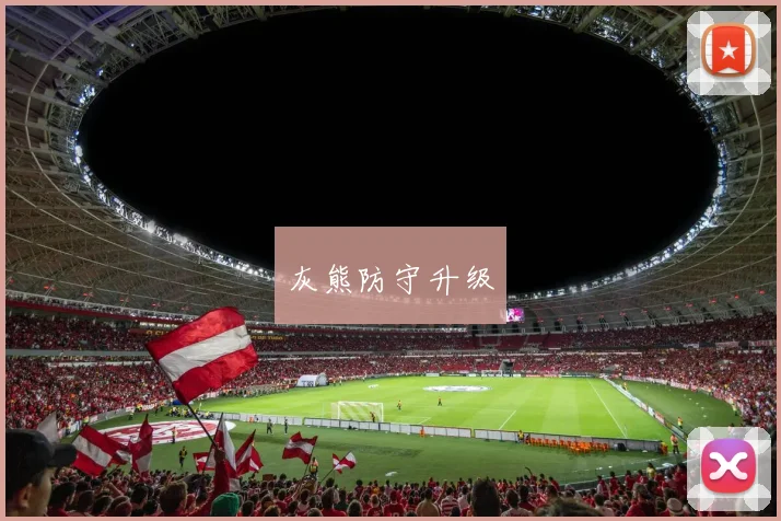 灰熊防守升级