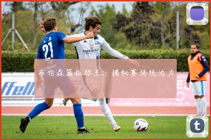 布伦森篮板称王:揭秘赛场统治力