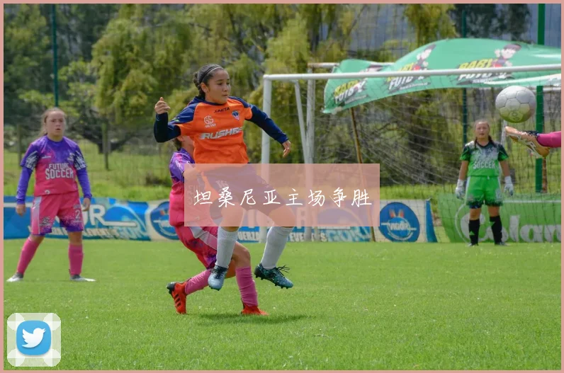 坦桑尼亚主场争胜