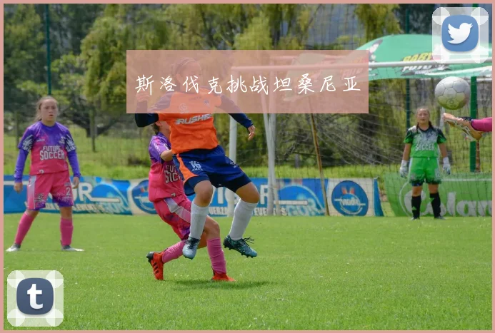 斯洛伐克挑战坦桑尼亚
