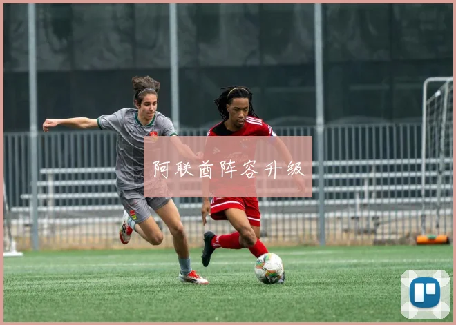 阿联酋阵容升级