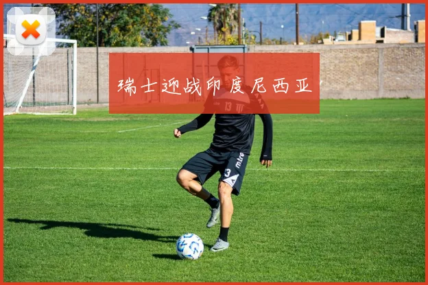 瑞士迎战印度尼西亚