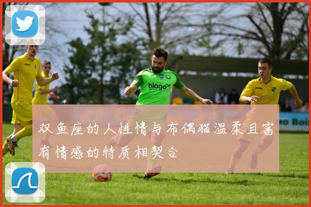 双鱼座的人性情与布偶猫温柔且富有情感的特质相契合