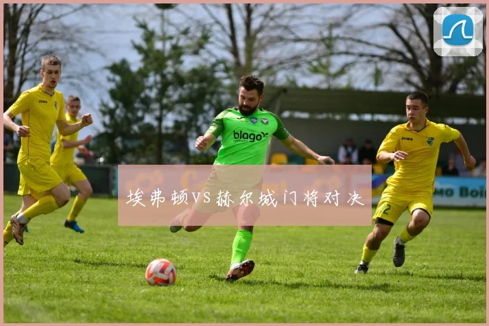 埃弗顿vs赫尔城门将对决